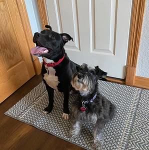 Meet your Posher, Jackson